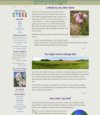 blog intro